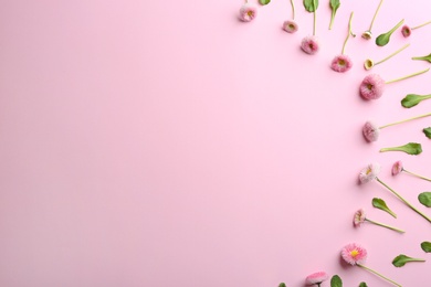 Photo of Flat lay composition with blooming daisies and space for text on color background. Spring flowers