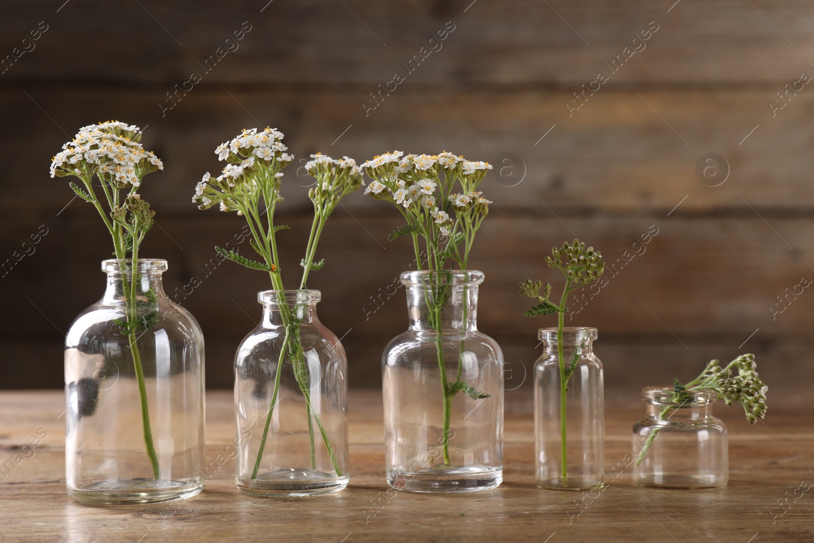 Photo of Yarrow flowers in glass bottles on wooden table