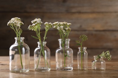 Photo of Yarrow flowers in glass bottles on wooden table