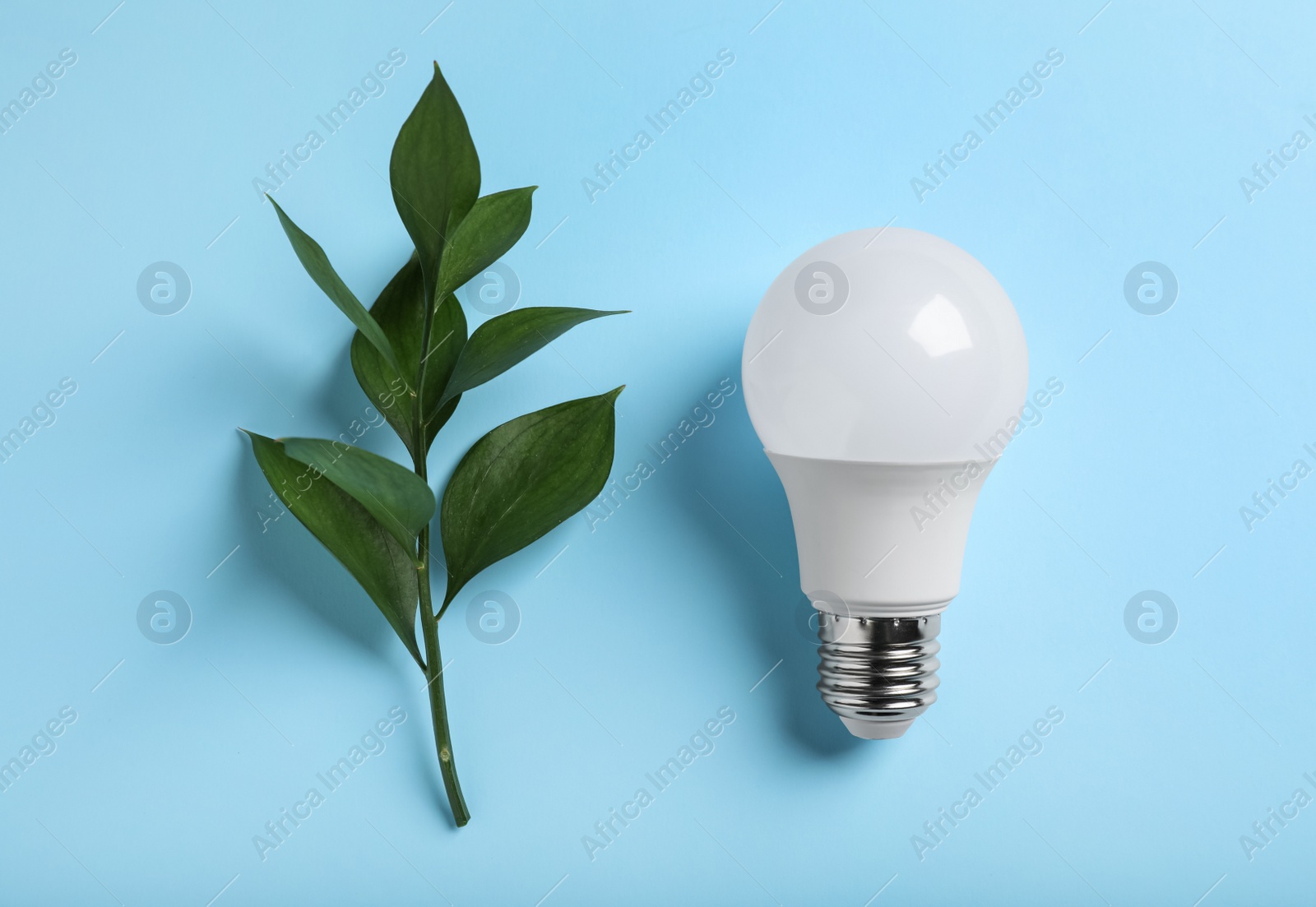 Photo of Light bulb and branch with green leaves on color background, flat lay
