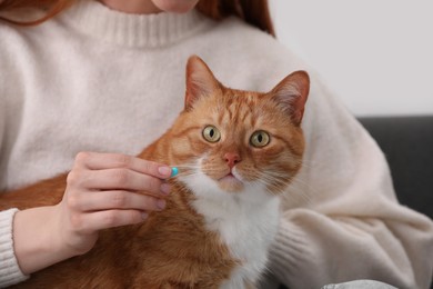 Photo of Woman giving pill to cute cat indoors, closeup