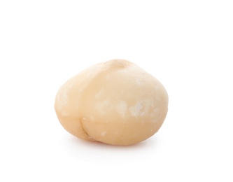 Photo of Shelled organic Macadamia nut on white background
