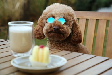 Photo of Cute fluffy dog with sunglasses at table in outdoor cafe