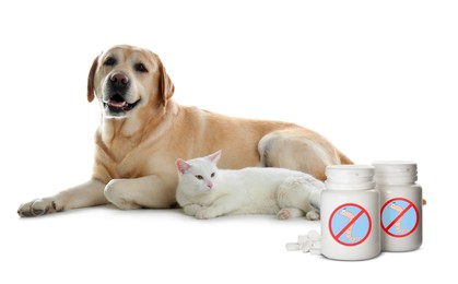 Image of Deworming. Cat, dog and medical bottles with anthelmintic drugs on white background