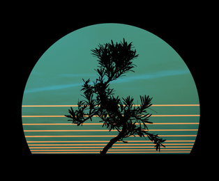 Image of Silhouette of Japanese bonsai plant against sky at sunset. Creating zen atmosphere at home