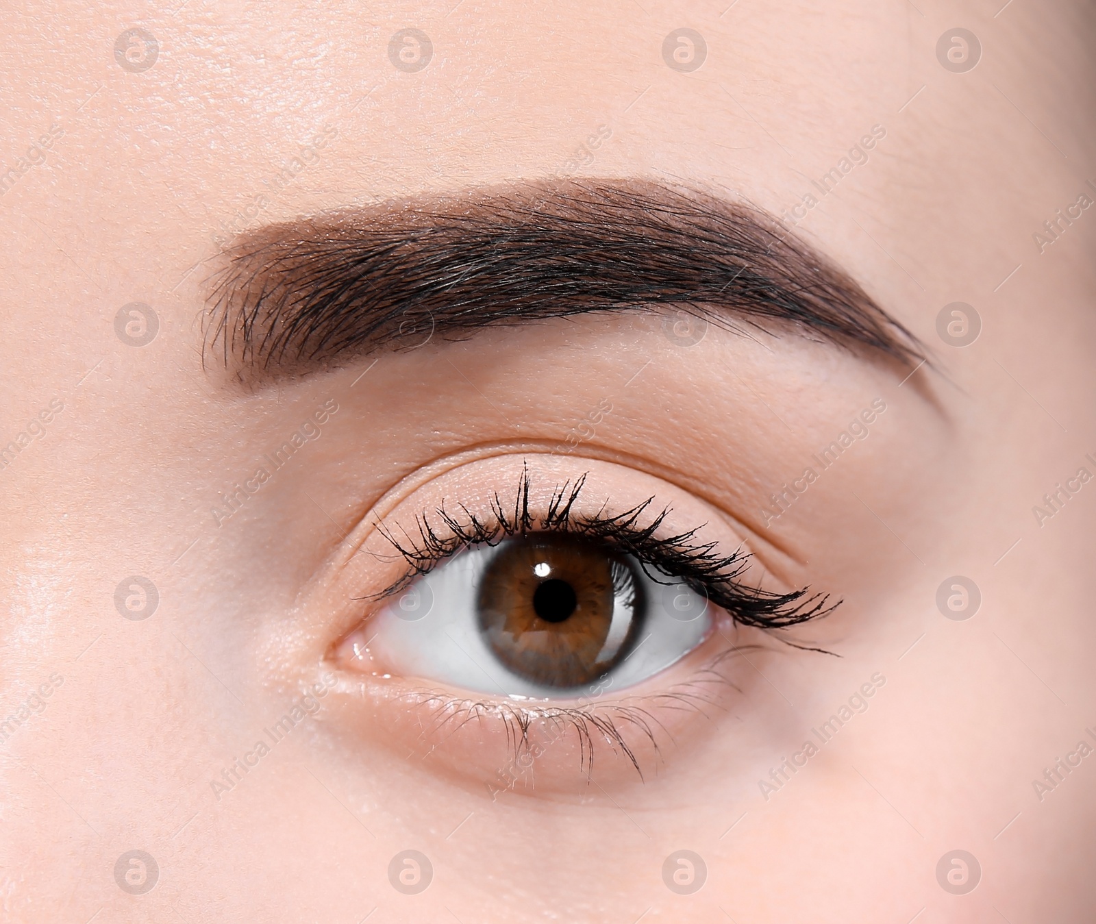 Photo of Beautiful woman with perfect eyebrows on light background, closeup