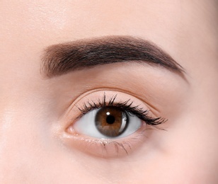 Beautiful woman with perfect eyebrows on light background, closeup