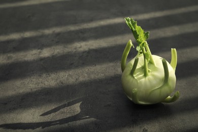 Photo of Whole ripe kohlrabi plant on grey table. Space for text