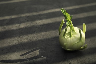 Whole ripe kohlrabi plant on grey table. Space for text