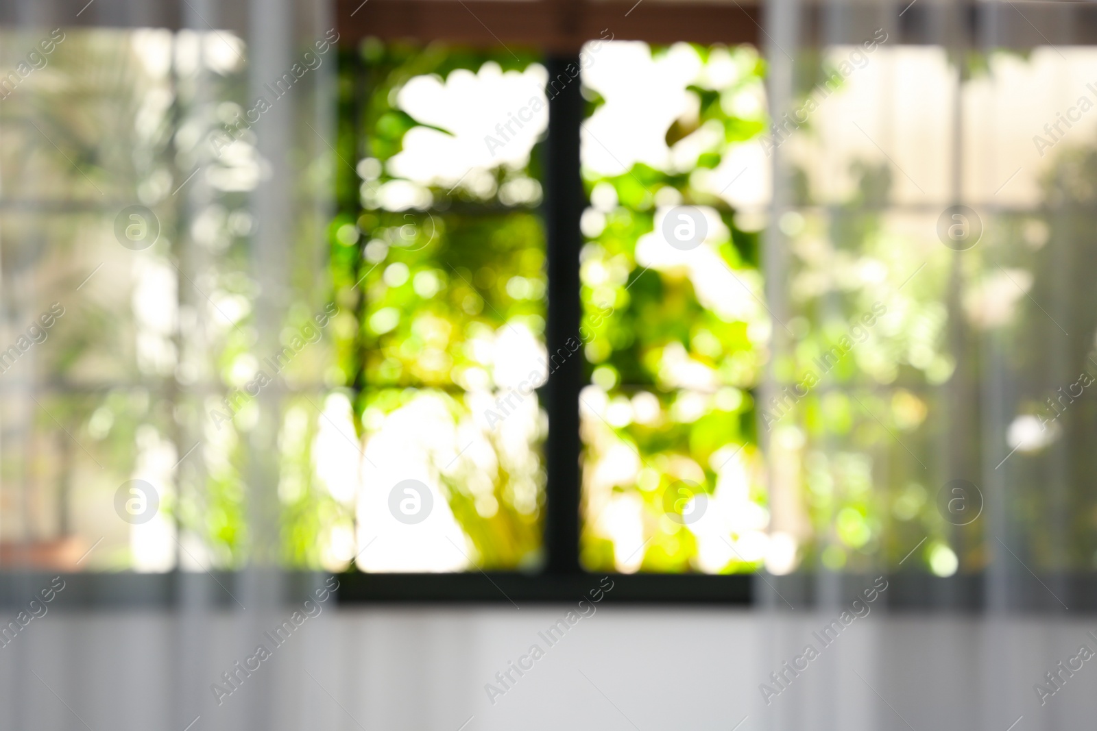 Photo of Blurred view through window on garden in morning