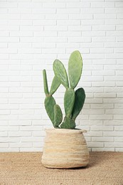 Beautiful potted cactus near white brick wall. Interior design