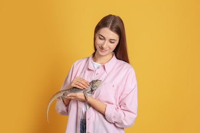 Woman holding bearded lizard on yellow background. Exotic pet