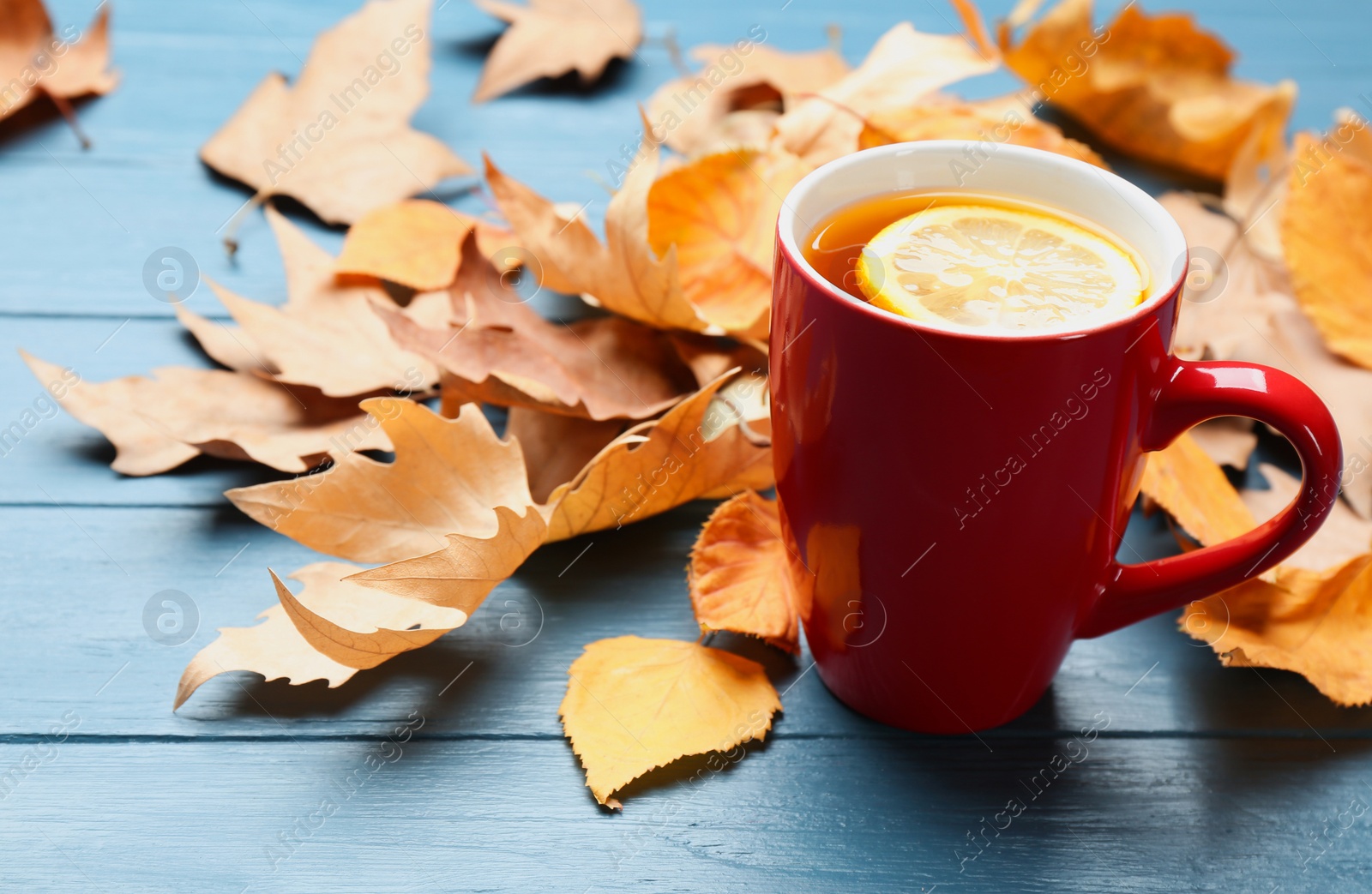 Photo of Cup of hot drink and leaves on blue wooden table. Cozy autumn atmosphere