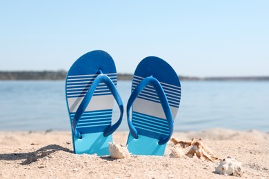 Photo of Stylish flip flops and seashells on sandy beach