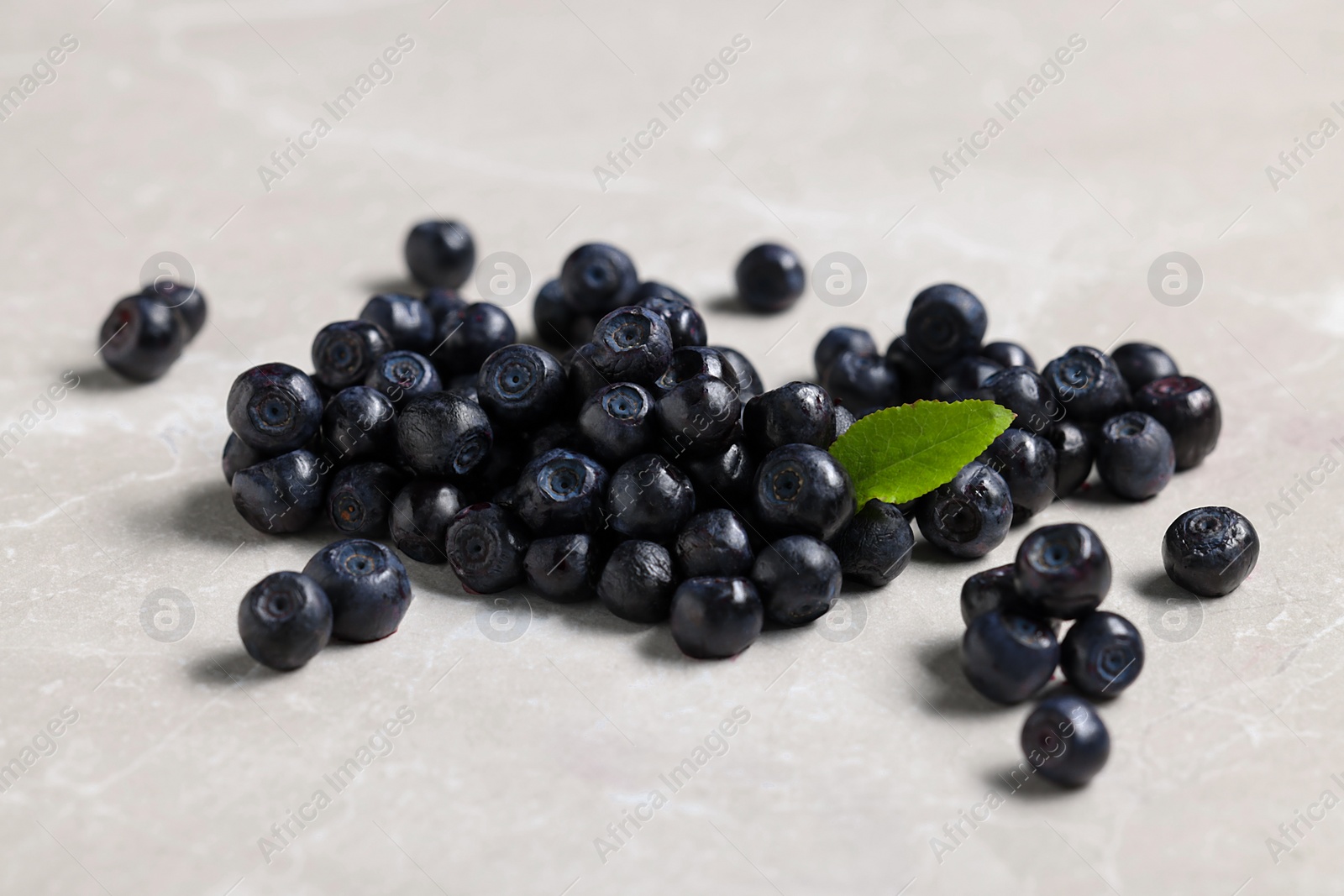 Photo of Ripe bilberries and leaf on light table, closeup