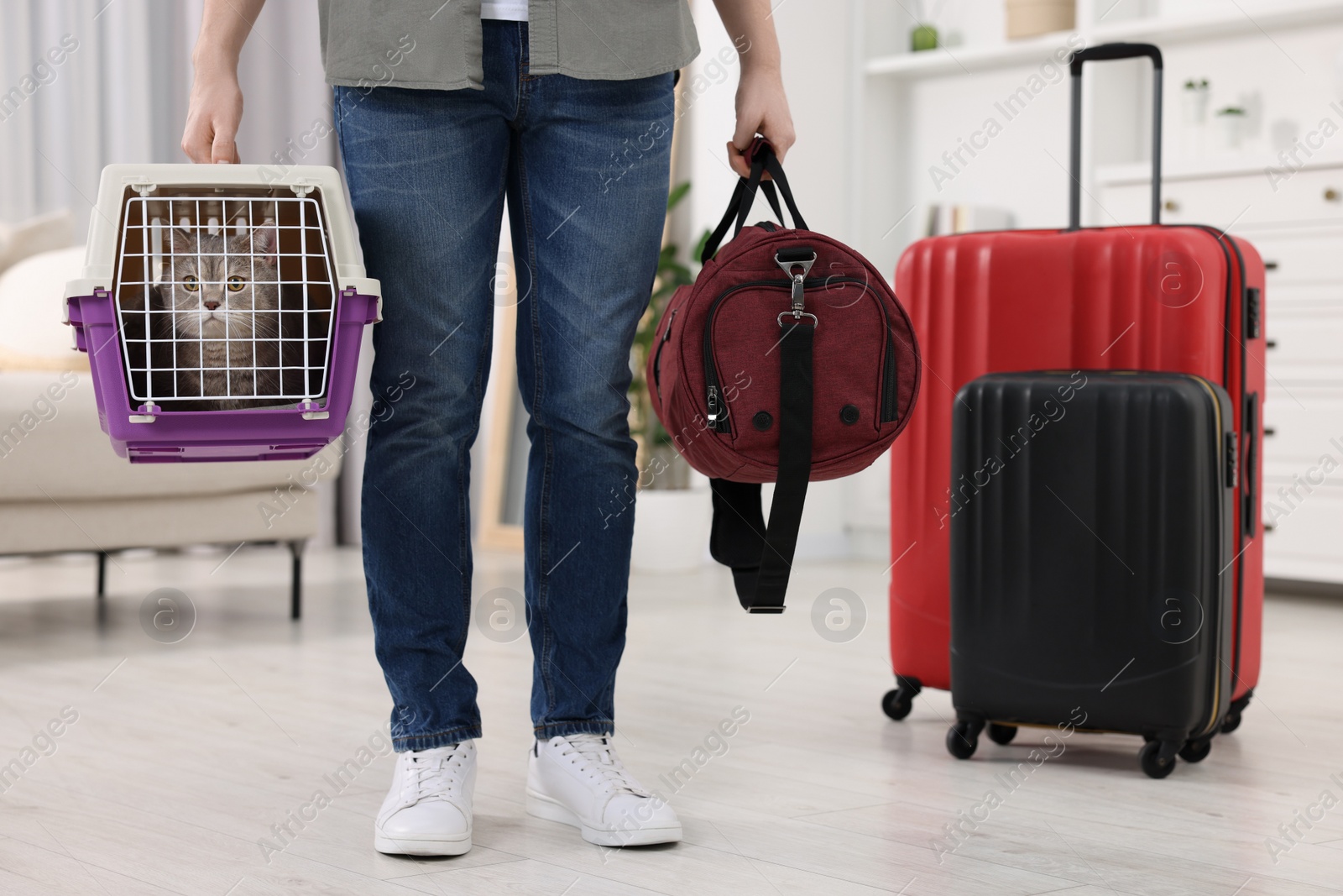 Photo of Travel with pet. Man holding carrier with cute cat and bag at home, closeup