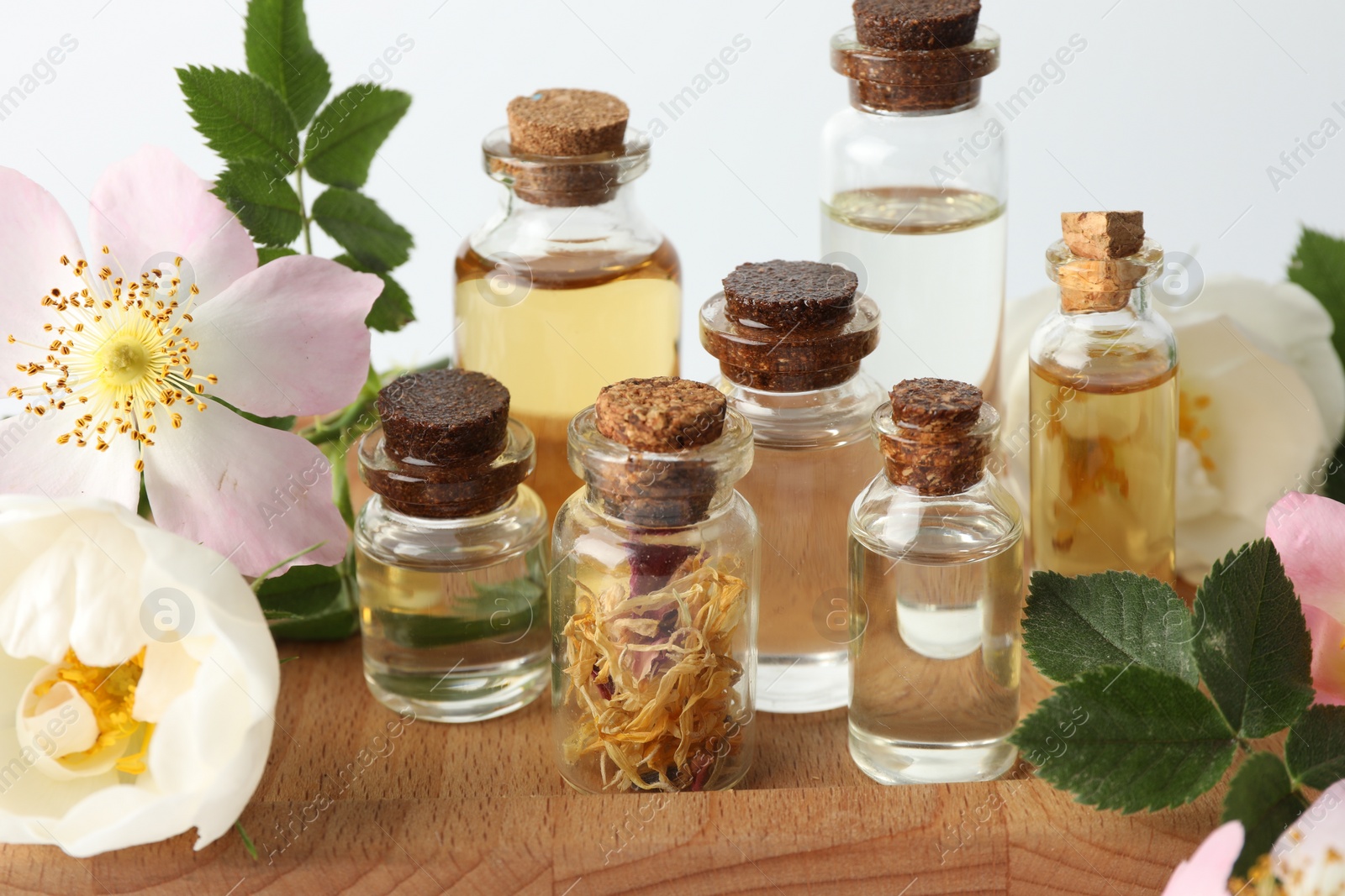 Photo of Aromatherapy. Different essential oils, flowers and green leaves on table