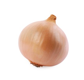 One yellow fresh onion isolated on white