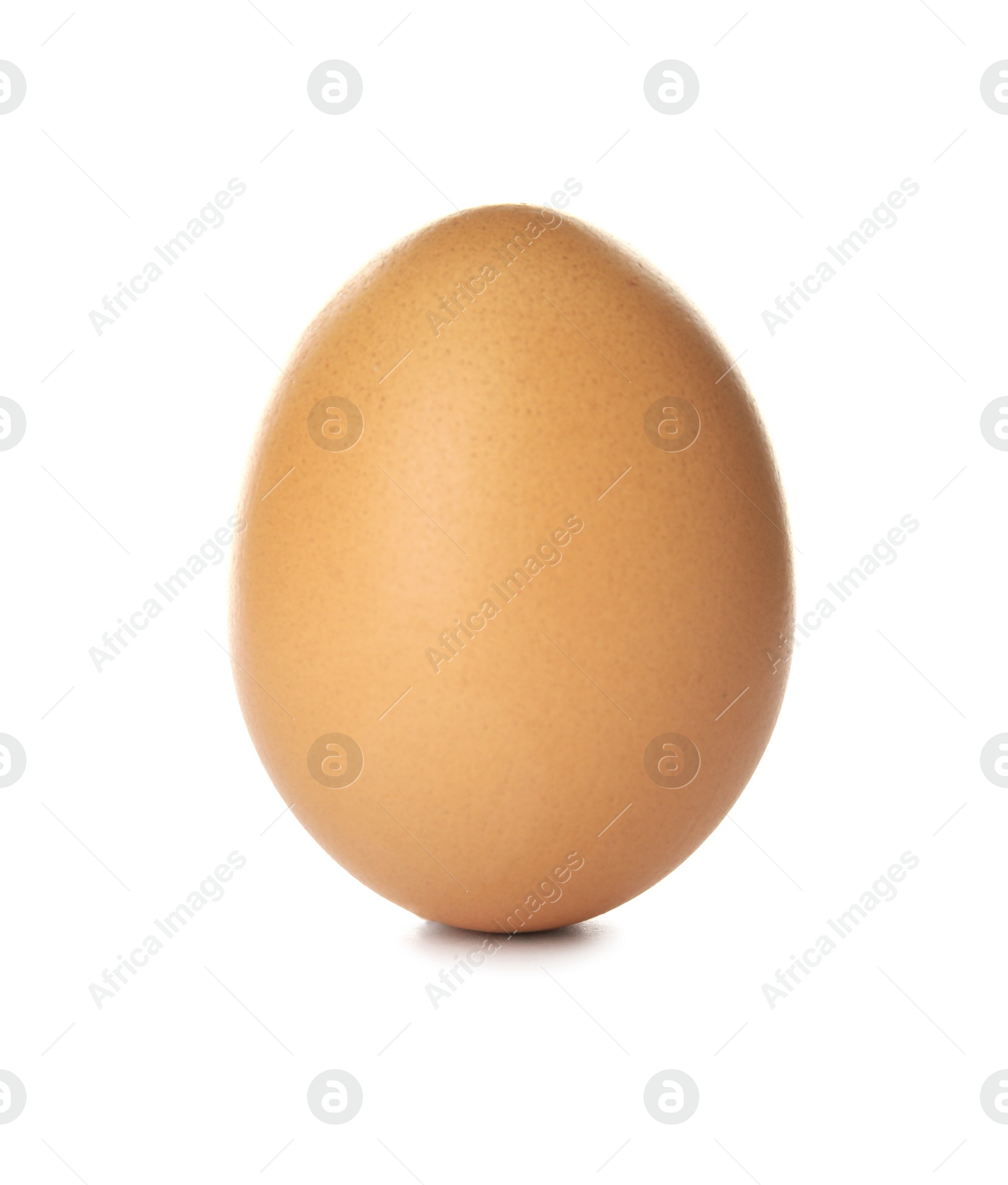 Photo of Raw brown chicken egg on white background