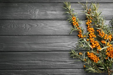 Photo of Branches of sea buckthorn on grey wooden table, flat lay. Space for text