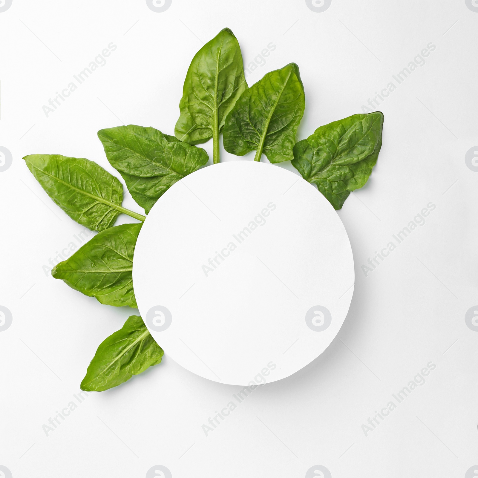 Photo of Blank card and fresh spinach leaves isolated on white, top view. Space for text