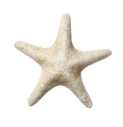 Photo of Beautiful sea star isolated on white. Beach object
