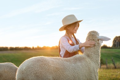 Photo of Girl stroking sheep on pasture. Farm animal