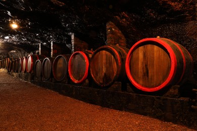 Many wooden barrels with alcohol drinks in cellar