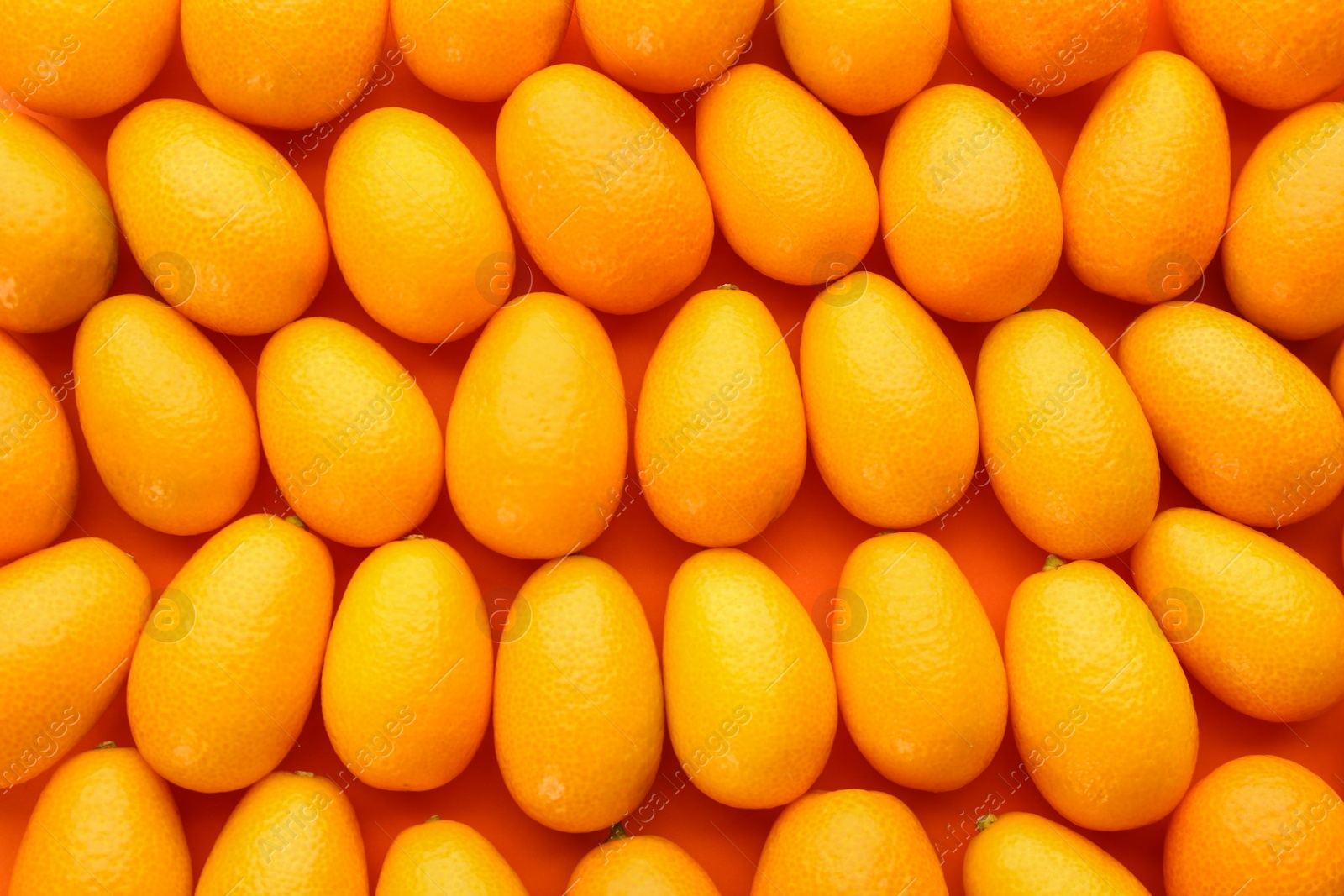 Photo of Many fresh ripe kumquats on orange background, top view