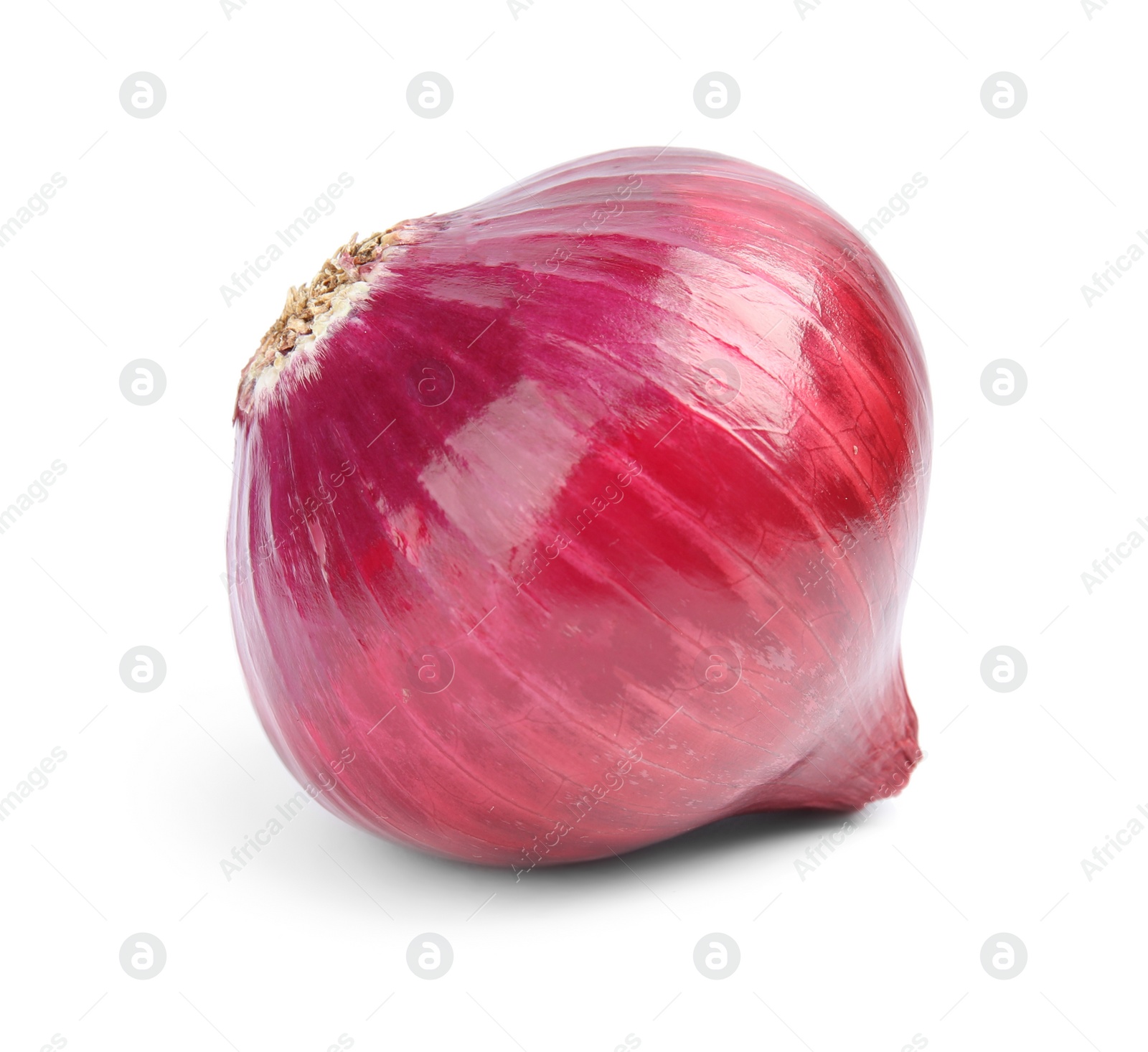 Photo of Ripe red onion on white background