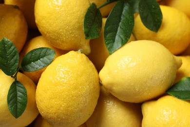 Photo of Fresh lemons and green leaves with water drops as background, closeup