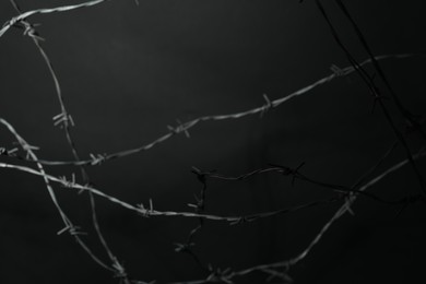 Photo of Metal barbed wire on dark grey background