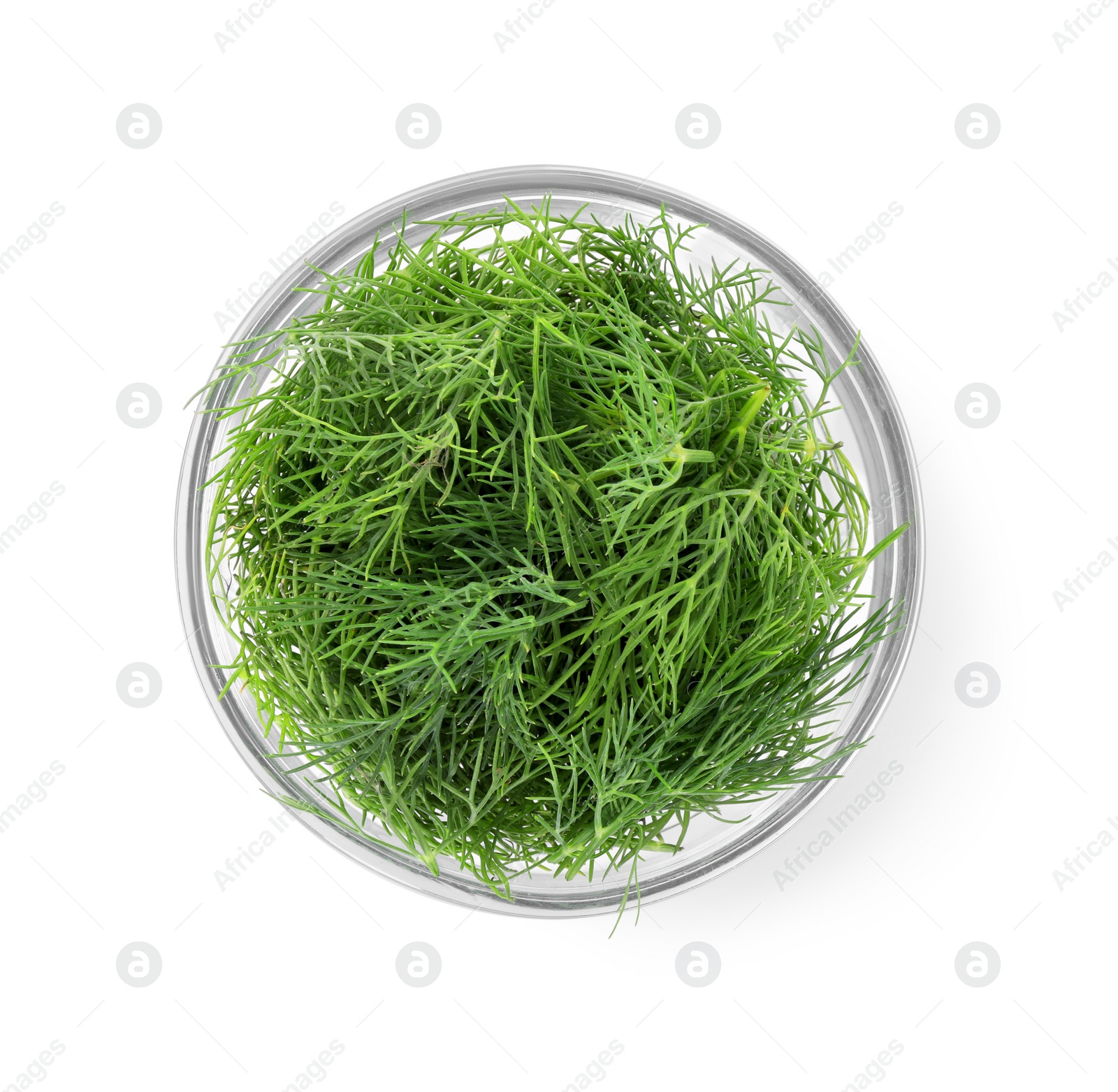 Photo of Bowl of fresh dill isolated on white, top view