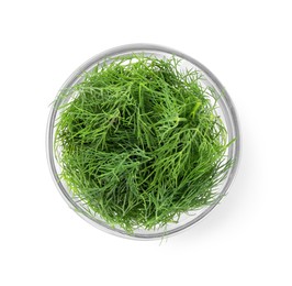 Bowl of fresh dill isolated on white, top view