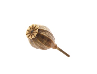 Photo of Dried poppyhead with seeds isolated on white