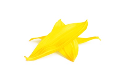 Photo of Fresh yellow sunflower petals isolated on white