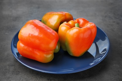 Plate with ripe paprika peppers on grey background