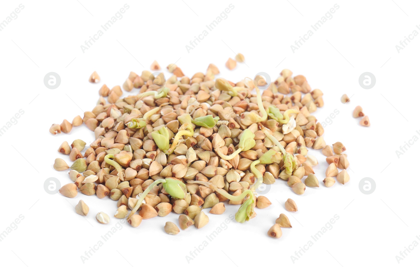 Photo of Pile of sprouted green buckwheat isolated on white