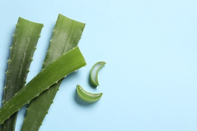 Photo of Cut aloe vera leaves on light blue background, flat lay. Space for text