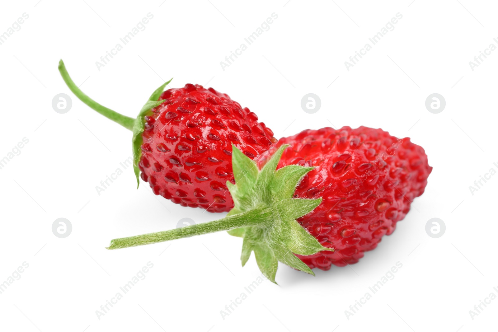 Image of Fresh ripe wild strawberries isolated on white