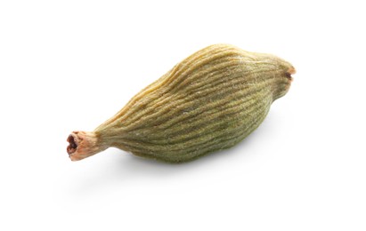 Dry green cardamom pod isolated on white, closeup