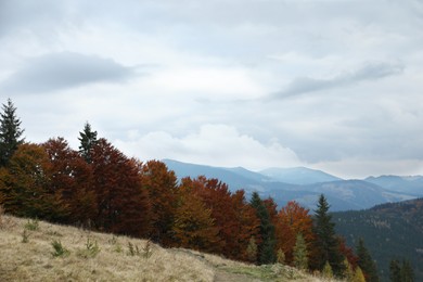 Photo of Picturesque view of beautiful mountains with autumn forest