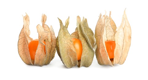 Photo of Ripe physalis fruits with dry husk on white background