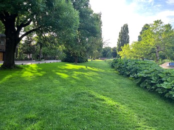 Photo of Picturesque view of beautiful park with fresh green grass and trees on sunny day