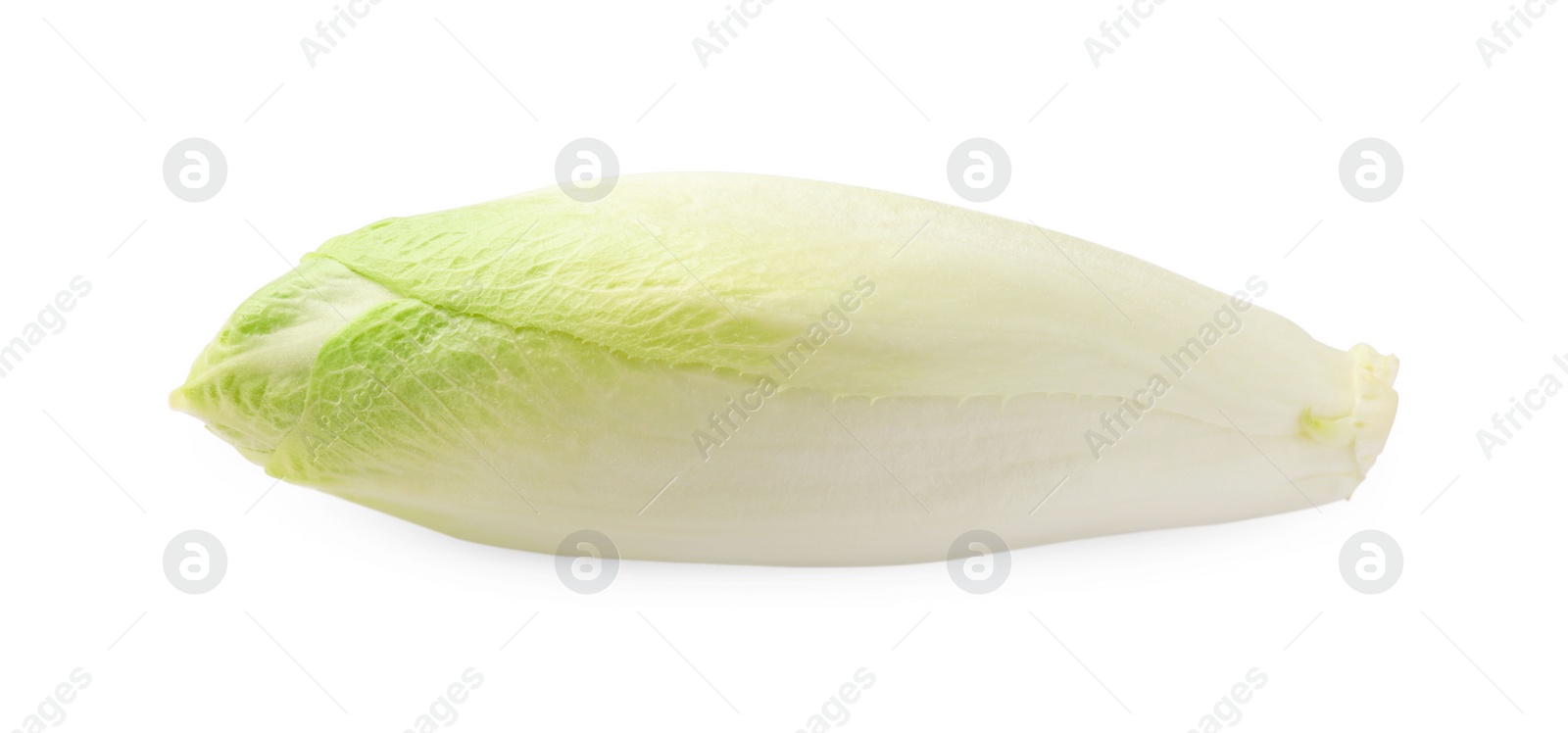 Photo of One raw ripe chicory isolated on white