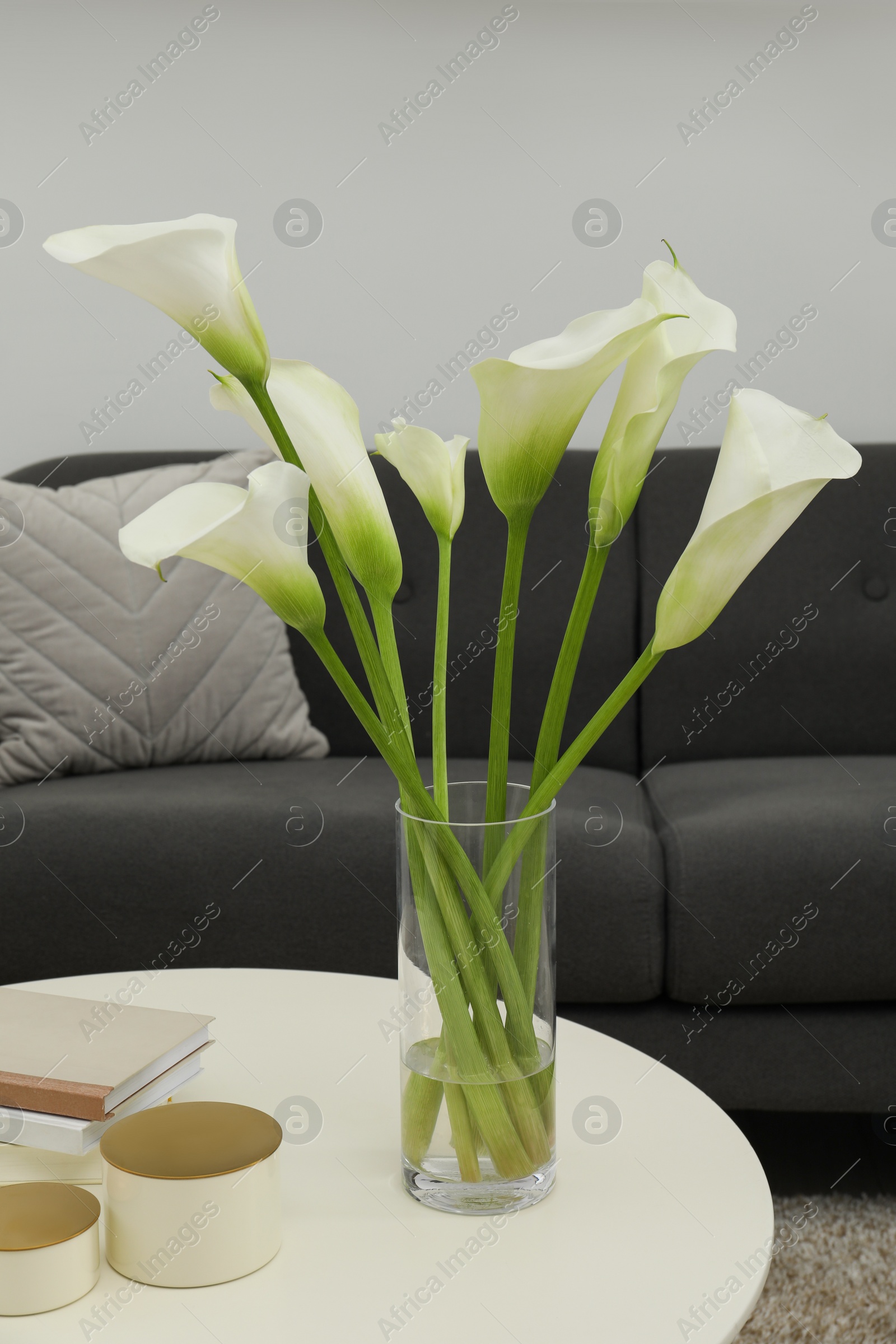 Photo of Beautiful calla lily flowers in glass vase, boxes and books on white table at home