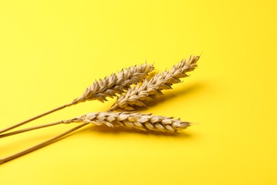 Photo of Dried ears of wheat on yellow background, closeup