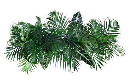 Image of Different fresh tropical leaves on white background. Banner design