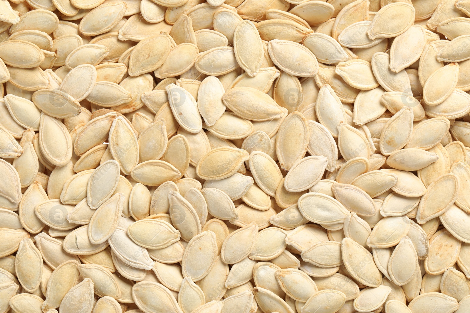Photo of Many pumpkin seeds as background, top view