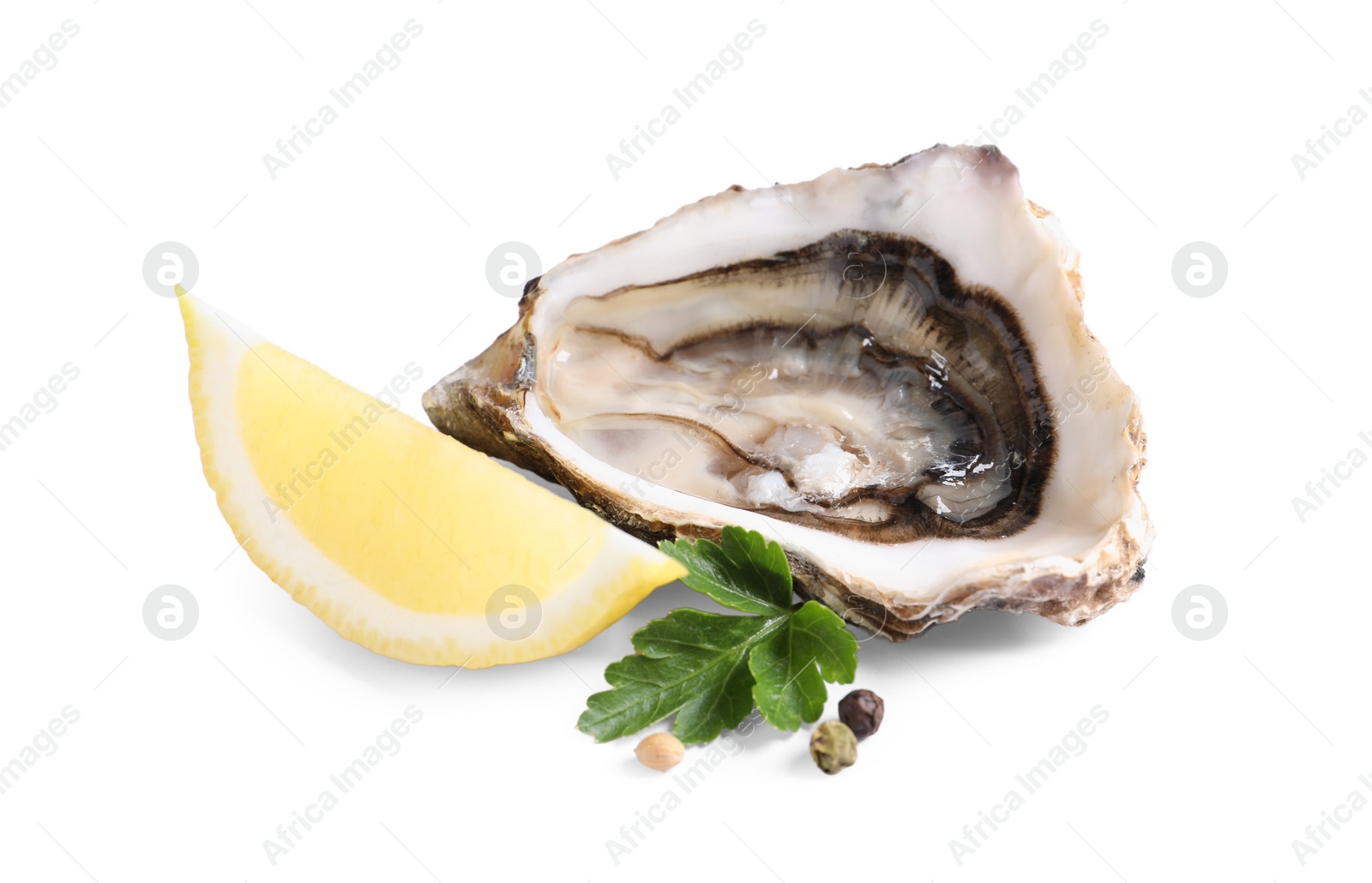 Photo of Fresh raw oysters served on white background